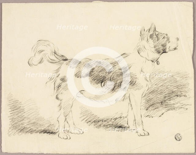 Shepherd Dog, n.d. Creator: Unknown.