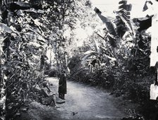 Cochin China [Vietnam], 1867, (1981). Creator: Unknown.