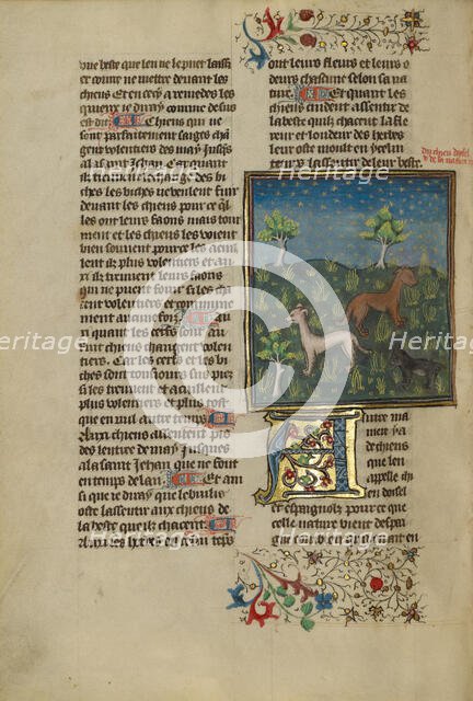 Spaniels; Livre de la Chasse, about 1430-1440. Creator: Unknown.