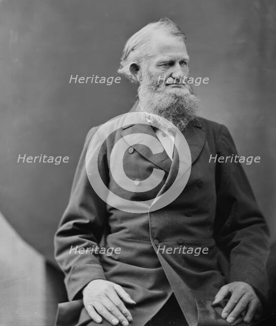 Anthony Lausett Knapp of Illinois, between 1860 and 1875. Creator: Unknown.