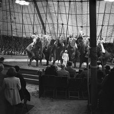 Performing elephants of Bertram Mills Circus, Norwich, Norfolk, 1948. Artist: Hallam Ashley.