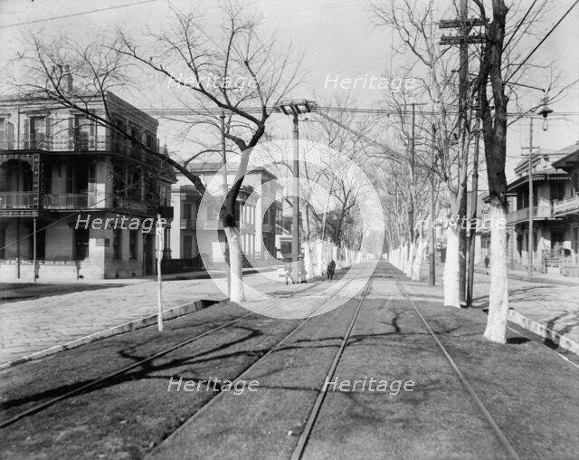 Esplanade Street, New Orleans, c1900. Creator: Unknown.