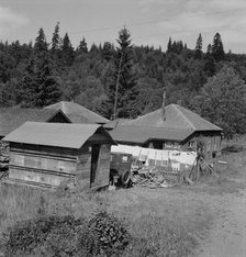 Company houses of closed mill..., Malone, Grays Harbor County, Western Washington, 1939. Creator: Dorothea Lange.