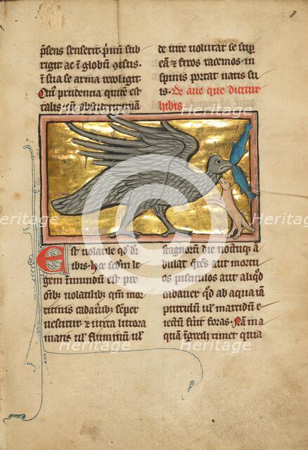 An Ibis with Two Fish in its Beak; De Natura Avium; De Pastoribus et Ovibus, 1277 or after. Creator: Unknown.