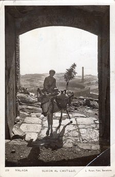 Boy with donkey, Malaga Castle, 1932. Creator: L Roisin.