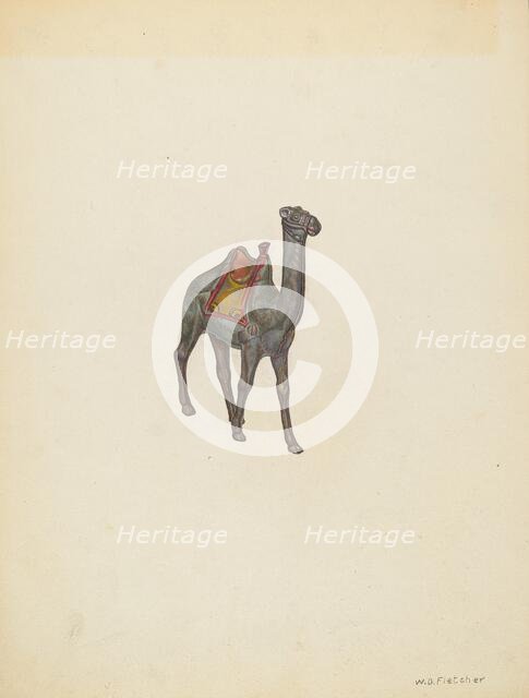 Bank Camel, c. 1940. Creator: William O. Fletcher.