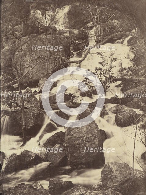 [Trees and Waterfalls], 1860-65. Creator: Charles Nègre.