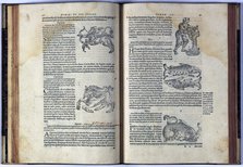 Pages of the book on mythology and iconography 'Fabolarum liber', 1549. Creator: Gaius Julius Hyginus (64 bC. - 17 aC,).