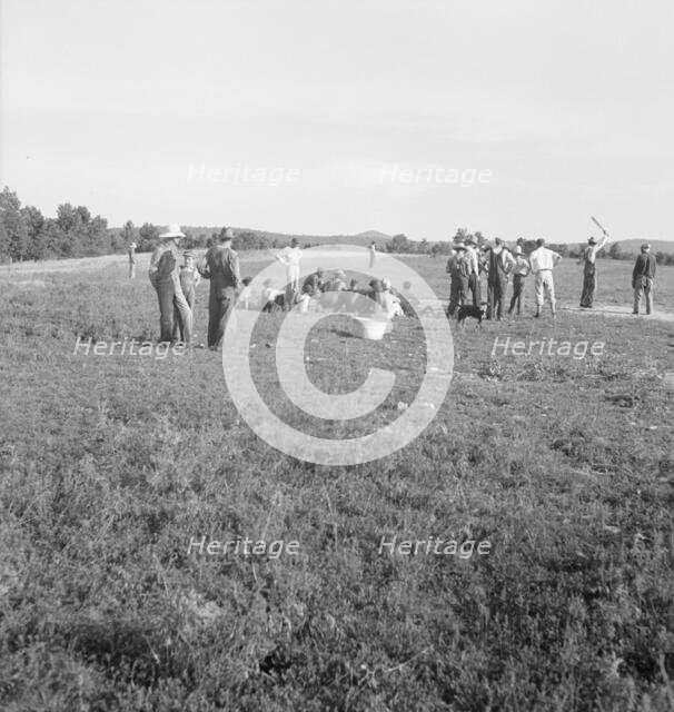Farmers' baseball game in the country..., near Mountain Home, northern Arkansas, 1938. Creator: Dorothea Lange.