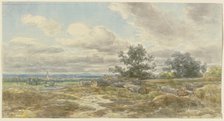 View over a plain, sawn-off tree trunks lying in the foreground, c1850-1905. Creator: Anton Burger.