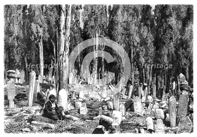 Cypress trees in the cemetery of Scutari, Turkey, 1895. Artist: Unknown