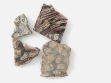 Glass Fragments from a Vessel, Coptic, 4th-early 5th century. Creator: Unknown.