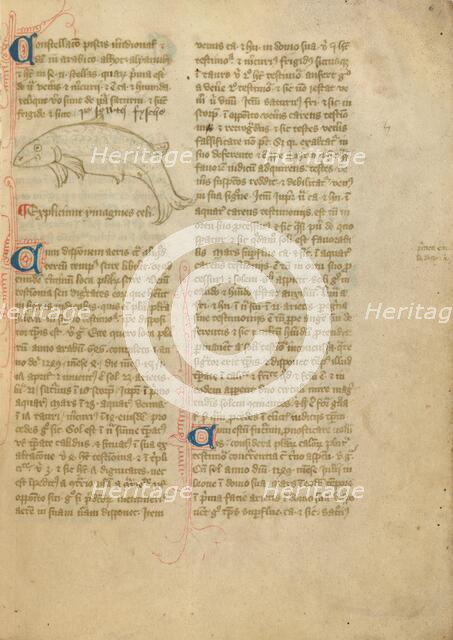 Constellation; Astronomical and Medical Miscellany, late 14th century, shortly after 1386. Creator: Unknown.