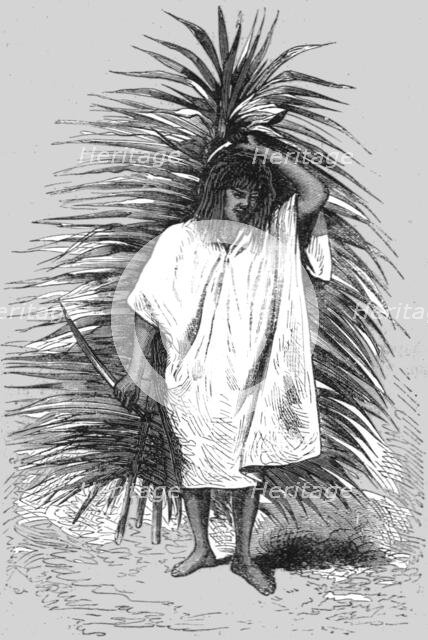 'From the 'Tierra Caliente.'; A Ride Round the Valley of Mexico', 1875. Creator: Unknown.