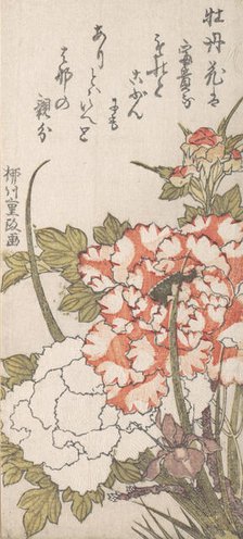 Peonies and Iris, 18th-19th century. Creator: Yanagawa Shigemasa.