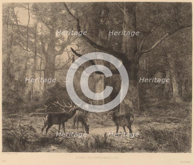 Forêt de Fontainebleau. Creator: Karl Bodmer.