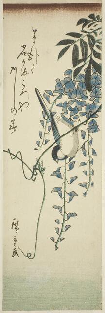 Bird and wisteria, n.d. Creator: Ando Hiroshige.