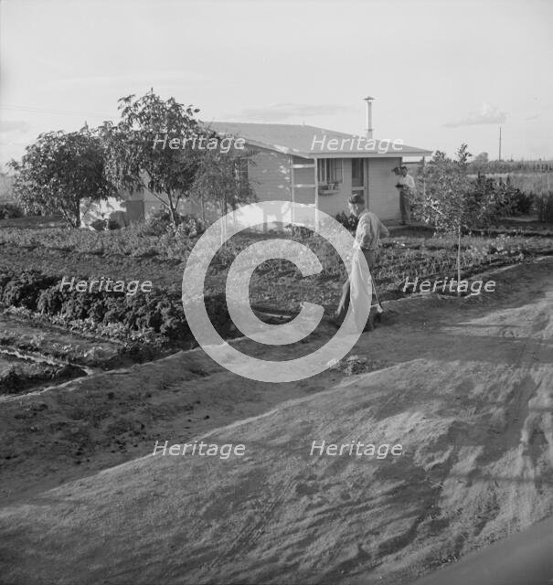 Type house at Garden Homes, Arvin (Kern County), California, 1938. Creator: Dorothea Lange.