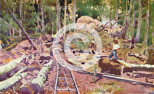'Penetrating the Amazonian Forest - Madeira-Mamoré Railway', 1914. Artist: Unknown.