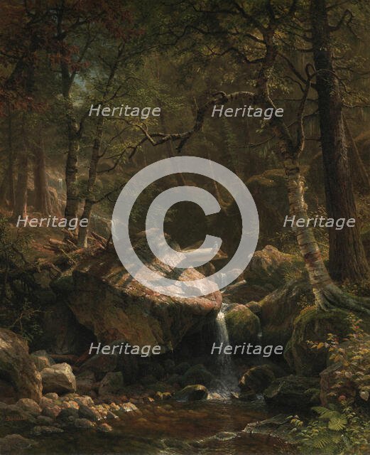 Mountain Brook, 1863. Creator: Albert Bierstadt.