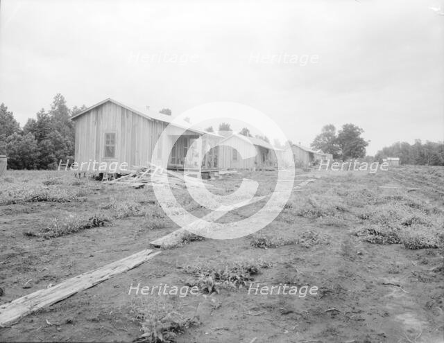 New cabins at Hill House, Mississippi, 1936. Creator: Dorothea Lange.