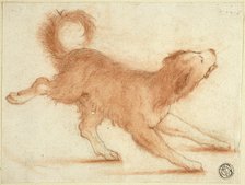 Growling Dog Ready to Pounce, 1695-1721. Creator: Dirk Valkenburg.