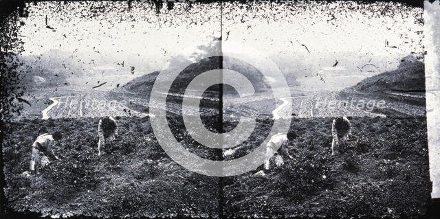 Canton, Kwangtung province, China, 1981 (from negative of c1870). Creator: John Thomson.