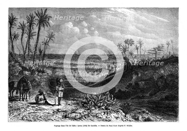 Landscape in the island of Cuba, 1859. Artist: Paul Huet