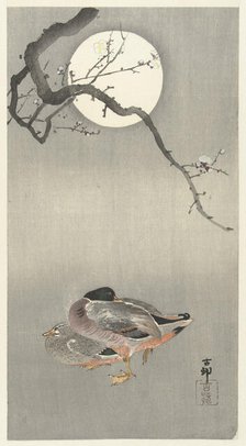 Ducks at full moon. Creator: Ohara, Koson (1877-1945).