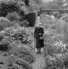 An elderly lady walking in a flower garden in Aldeburgh, Suffolk,1956. Artist: John Gay