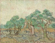The Olive Orchard, 1889. Creator: Vincent van Gogh.