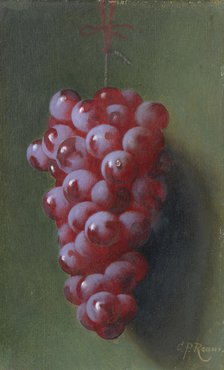 Still Life with Grapes. Creator: Carducius Plantagenet Ream.
