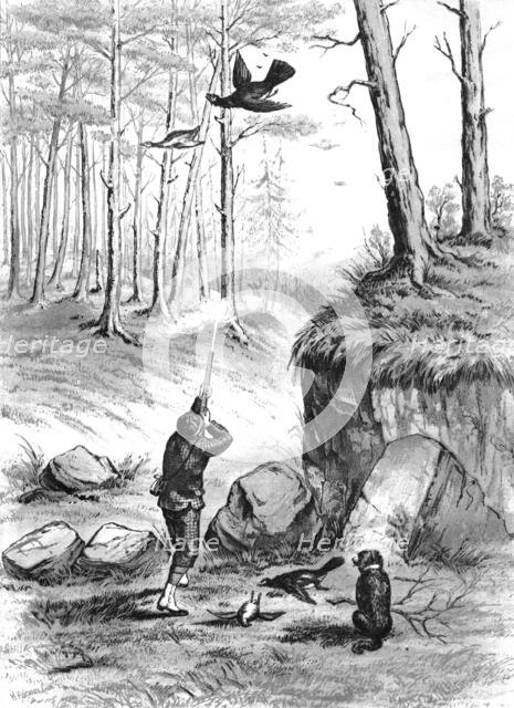 Shooting pheasants, 1883. Creator: H. Parsons.