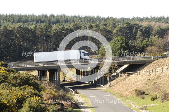 The A31 Dual Carriageway through New Forest Artist: Unknown.