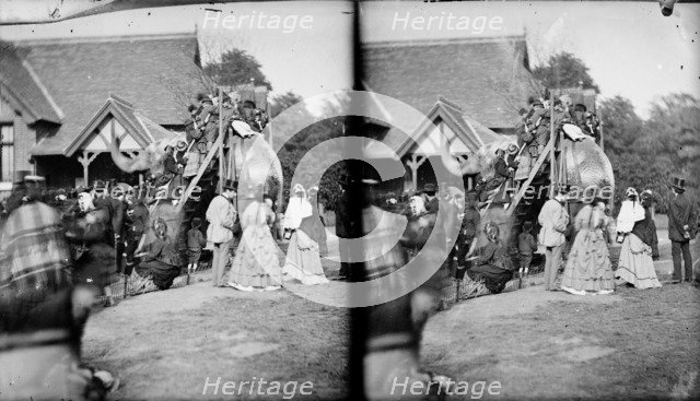 Zoological Gardens, Regent's Park, Westminster, London, c1870-1900. Artist: York & Son