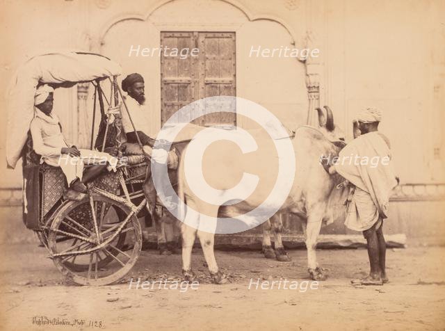 Bullock Cart, Delhi, 1863. Creator: Shepherd & Robertson (British, active Agra and Simla, 1862-1864).