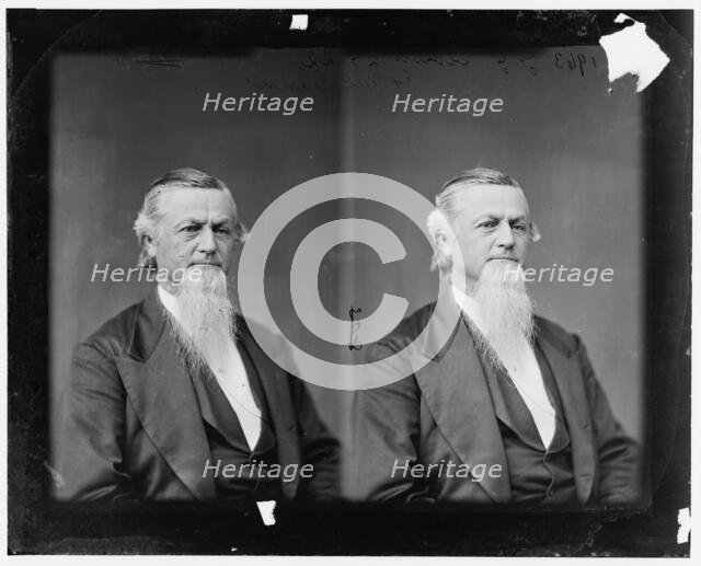 George Gibbs Dibrell of Tennessee, c.1865-1880.  Creator: Unknown.