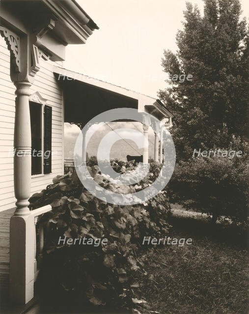 House and Grape Leaves, 1934. Creator: Alfred Stieglitz.
