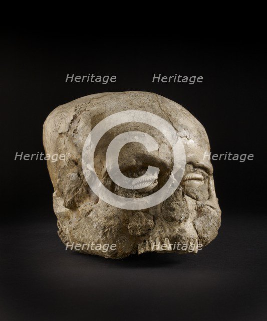 Skull (Jericho Skull), Pre-pottery Neolithic B, 7300-6300 BC Artist: Unknown.