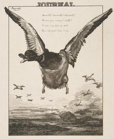 Le Canard, 1856. Creator: Felix Bracquemond.