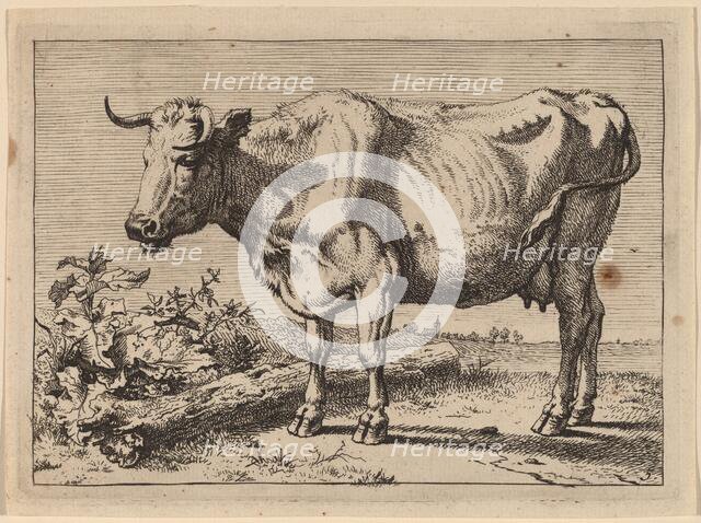 Standing Cow (Cow with a Crumpled Horn), 1650. Creator: Paulus Potter.