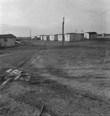 Newly-built cabins, rent five dollars per month, near Bakersfield, California, 1939. Creator: Dorothea Lange.