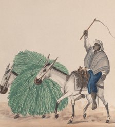 A man riding a mule, his whip raised, another mule loaded with grass alongside..., ca. 1848. Creator: Attributed to Francisco (Pancho) Fierro.