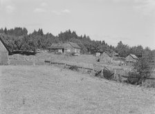 Possibly: Western Washington subsistence farm, whittled out of the stumps, Grays Harbor County, 1939 Creator: Dorothea Lange.