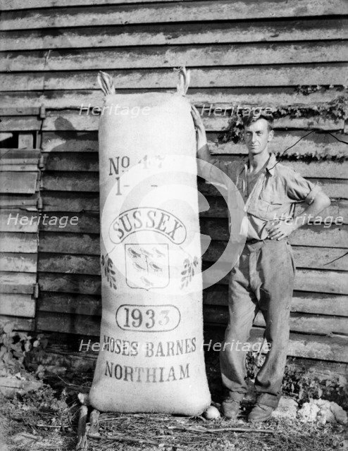Man with hop sack at Great Dixter, East Sussex, 1933. Artist: Nathaniel Lloyd