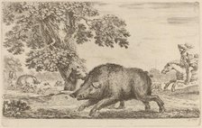 Boar Running to the Left. Creator: Stefano della Bella.