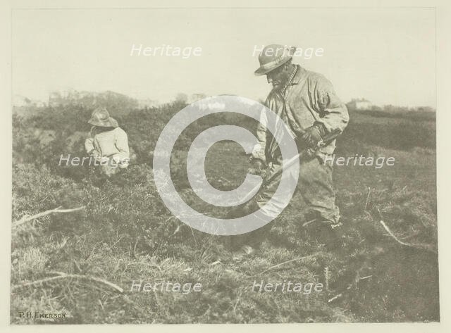 Furze-Cutting on a Suffolk Common, c. 1883/87, printed 1888. Creator: Peter Henry Emerson.