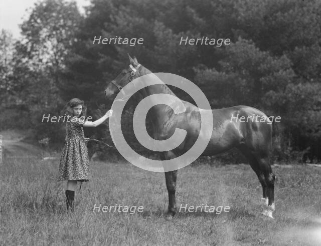 Wertheimer, A., Mr., horse of, 1924 June or July. Creator: Arnold Genthe.