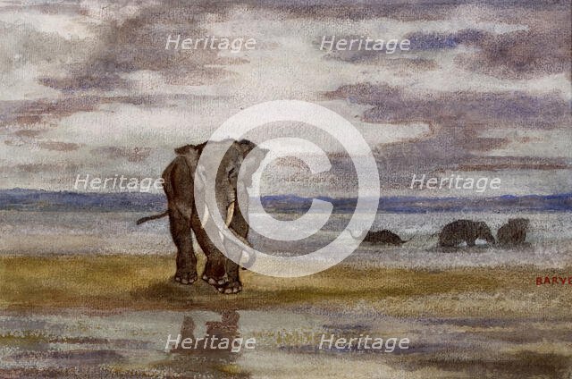 Elephants in Water, c1850. Creator: Antoine-Louis Barye.