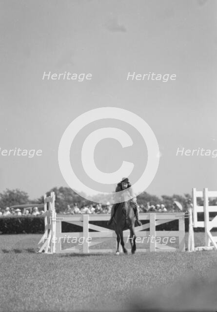 Horse show or show jumping event, between 1911 and 1942. Creator: Arnold Genthe.